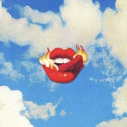 Center Cover